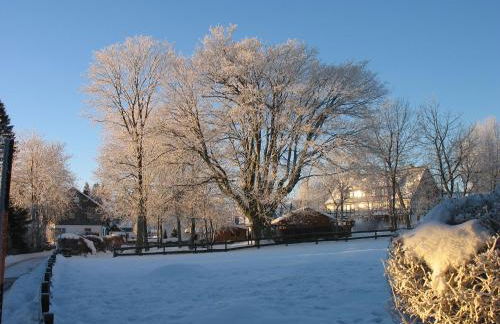 Ferienwohnungen Landgasthof Gilsbach - Foto 24