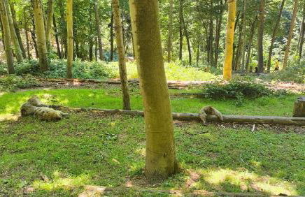 Bel appartement F2 entièrement rénové - Foto 38