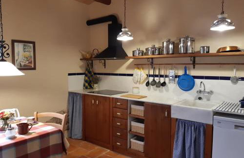 Mas del Salin - Foto 8