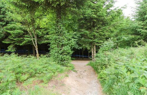 Dale View - Photo 26