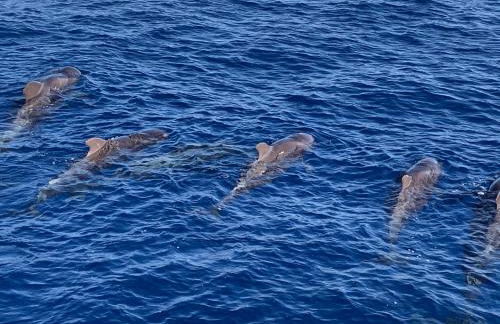 Apartamento Balcón del Puerto - Foto 76