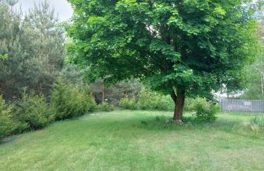 Leśna Przystań - Foto 9