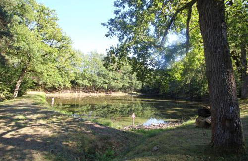 Le picatao, les flamanchies - Foto 29