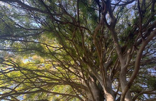 A CASA DI SISSI - Foto 28