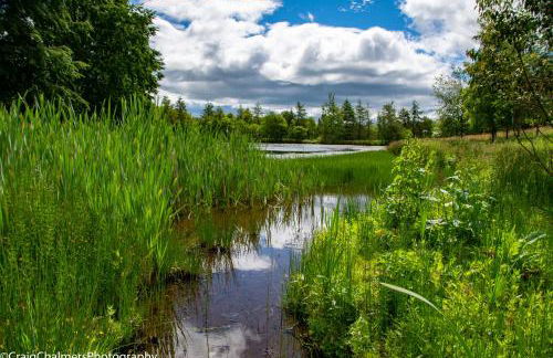 Modern and Stylish WoodHous - Photo 22