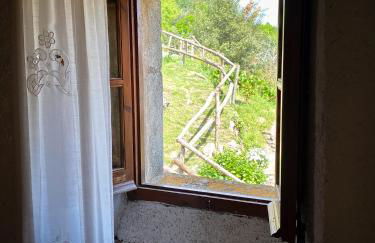 El Buxaus de la Muntanya - Foto 46