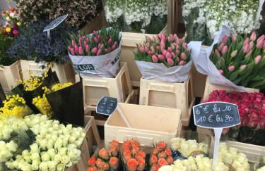 Manoir de Damigny - Photo 51