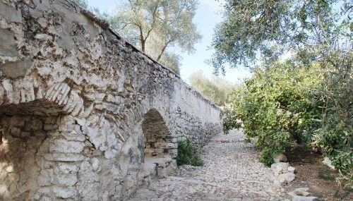 Molino Jabonero - Photo 4