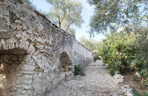 Molino Jabonero - Photo 4