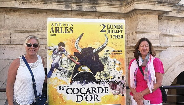 Arles - St Remy - Les Baux de Provence - 7 hours - Photo 4