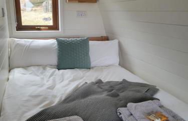 Handa pod in scottish highlands. - Foto 4