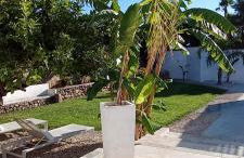 Casa Vacanza "La Mangiatoia in corte" - Foto 6