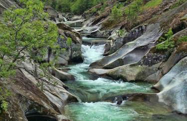 La Lancha del Jerte - Foto 37