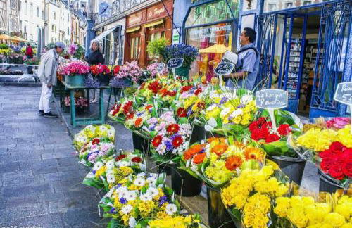 Le Ty Baty - Hypercentre - Foto 25