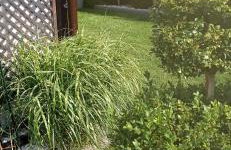 Dom Dolores Pogorzelica - Foto 30