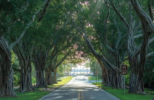 Tropical PoolHome Walk to Shops Near Beach - Foto 64