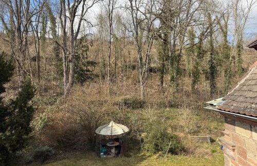 Schloss Zingst - Foto 68