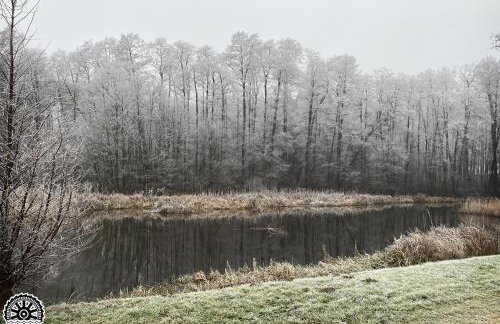 Mlyn Wodny EKO Hillar - Foto 54