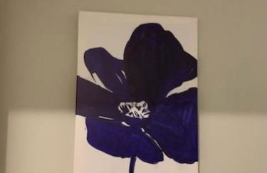 Kannapolis Excellent Sleep Experience - Pet Friendly - Foto 11