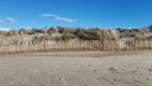 La petite Camargue - Foto 5