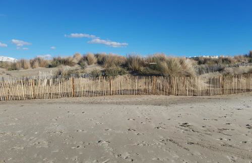 La petite Camargue - Foto 5