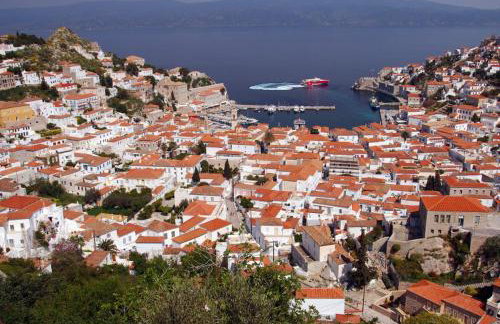 Hydra Erato - Foto 56