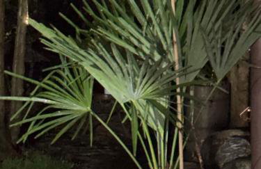 Apartament Skórcz Kociewie Pomorze Gdańskie Agroturystyka - Foto 6