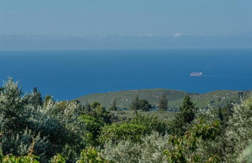 Sempreviva - Foto 57