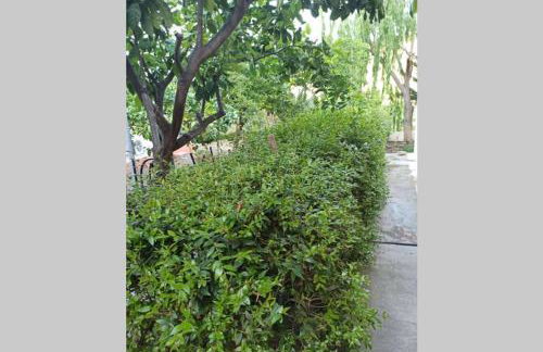 Villa MALENA Nature and Sea View - Foto 12