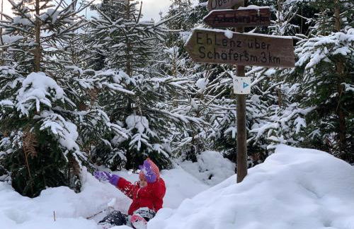 Eifelhäuschen am See - Foto 50