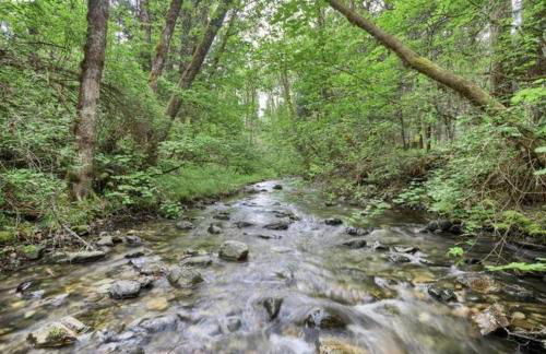 Madrone Hideout - decked out bus! - Foto 7