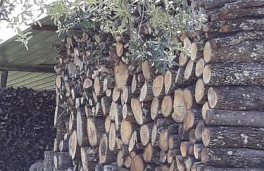 La Vecchia Quercia - Foto 24