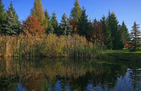 Uroczysko Teremiski - Foto 16