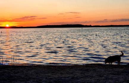 Luxusferienhaus Seevilla Monaco am Fleesensee - Photo 33