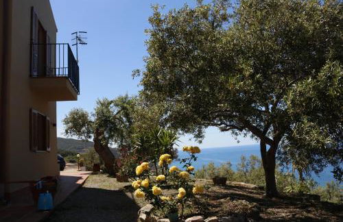 Villa Canale - Foto 42