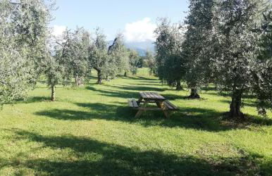 Agriturismo Fioralba - Photo 22
