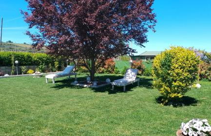 L' acero rosso - Foto 3