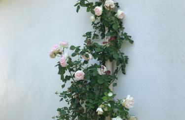 Villa l'art de fer - Foto 61