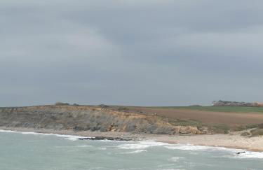 Le jardin de la mer - Foto 12