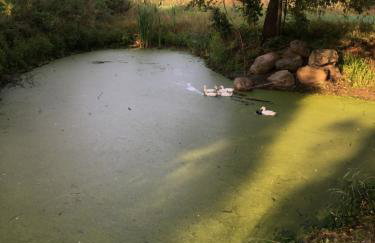 Siedlisko Nasza Chata - Foto 15