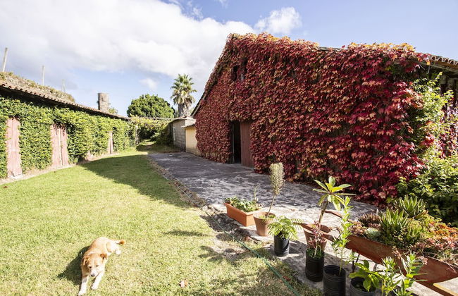 Casa da Várzea - Foto 25