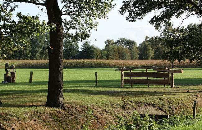 Boutique Holiday Home in Nieuwleusen near Forest - Foto 10