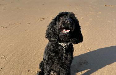 7 Putsborough - Luxury Apartment at Byron Woolacombe, only 4 minute walk to Woolacombe Beach! - Foto 11