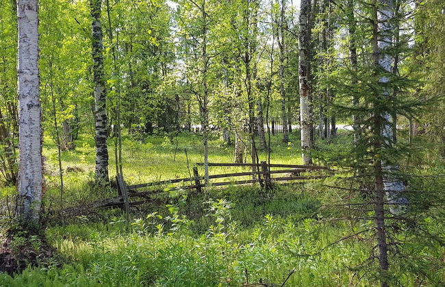 Kuukkeli Ivalo Arctic House - Foto 18