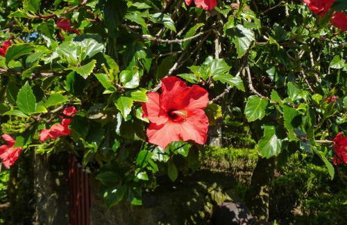 Quinta do Espírito Santo - Photo 31