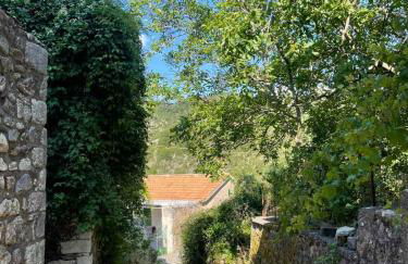 Rodanthe's Guest House - Photo 63