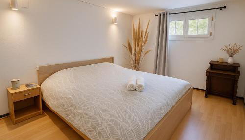 Le jardinet d'Emma avec jacuzzi pour une escapade romantique à Arles - Foto 3