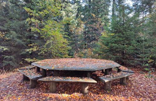 Ferienwohnung 37 Sonnenwald - Foto 37