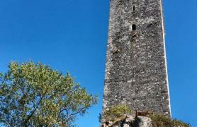 La Montcuquoise - Foto 19