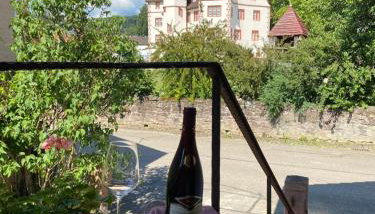 Ferienwohnung am Schlossgarten - Foto 5